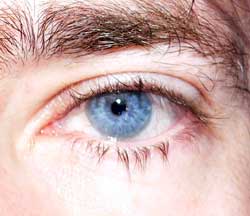 Profil de Hacene